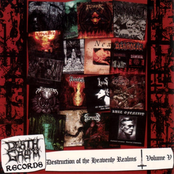 Destruction of the Heavenly Realms, Volume V