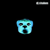 The Experience by Dj Shalom