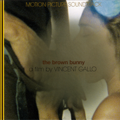 The Brown Bunny