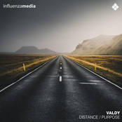 Valdy: Distance / Purpose