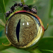 Album sconosciuto (06/02/2006 16.29.03)