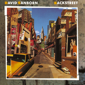 Believer by David Sanborn