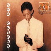 Putumayo Presents: Afro-Latin Party