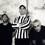 Avatar for DMA's