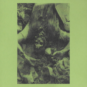 An Influx of Death Stench