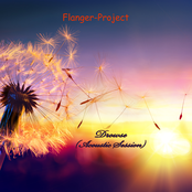 Flanger-project