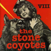 A Charmed Life by The Stone Coyotes