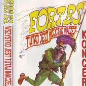 Tutaj jest wszystko inaczej