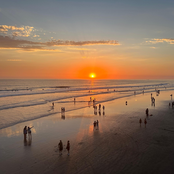 We Want You Here (feat. The Dangerous Summer)