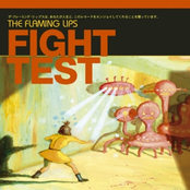 fight test