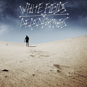 White Fields / Perspectives Split
