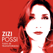 No Vento by Zizi Possi