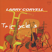 She's Leaving Home by Larry Coryell
