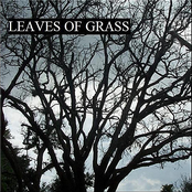 Leaves of Grass - Single