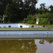 Wolfarth