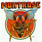the very best of montrose