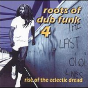 Roots of Dub Funk 4