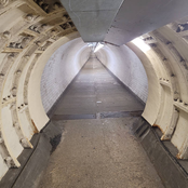 GUILT AFTER BETRAYAL