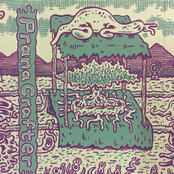 Prana Crafter "MindStreamBlessing"