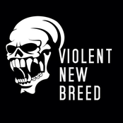 Violent New Breed