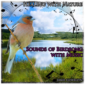 Healing with Nature: Sounds of Birdsong with Music