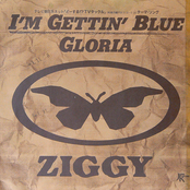 Boogie Woogie Train by Ziggy