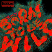 Born To Be Wild (Feat. JYP) - Single