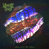 Silence of the Clams