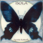 Egoiste Butterfly