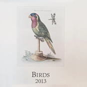 Wild Birds 2013