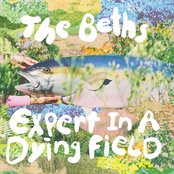 The Beths - Expert in a Dying Field Artwork