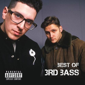3rd Bass: Best of 3rd Bass
