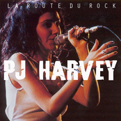 Civil War Correspondent by Pj Harvey