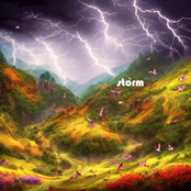 Storm