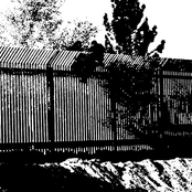 Let Mexico pay for our Harsh Noise Wall