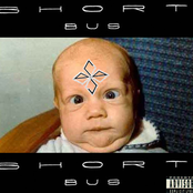 Short Bus