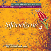 Şifânağme 4: The Music Theraphy in Relation to Diseases