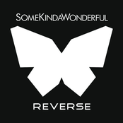 Somekindawonderful: Reverse