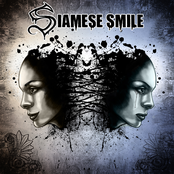 Siamese Smile