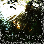 Forest Creatures