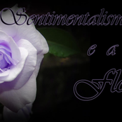 Sentimentalismo E A Flor