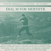 Dog Day Afternoon: Dial M For Merthyr