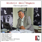 Michele dall'Ongaro: Checkpoint
