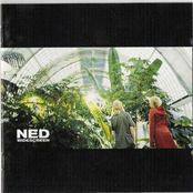 Land Of Love by Ned