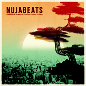 Nujabeats