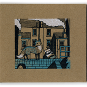 The Fields Lie Sleeping Underneath.