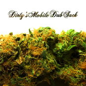 Dirty's Mobile Dub Sack