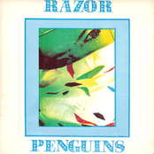 razor penguins