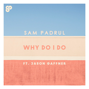 Why Do I Do (feat. Jason Gaffner)