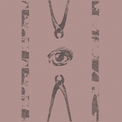 Protest And Provocation